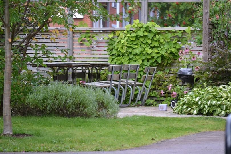 1 rok nära högskolan – låg hyra